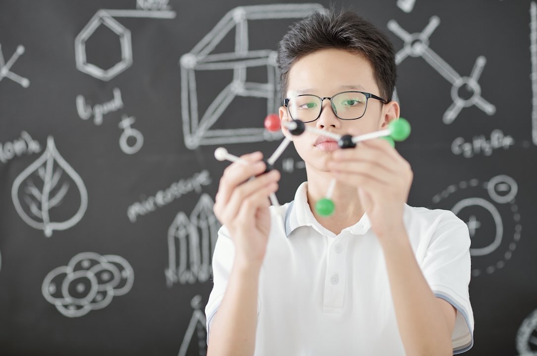 Étudiant avec modèle de molécule de saule blanc